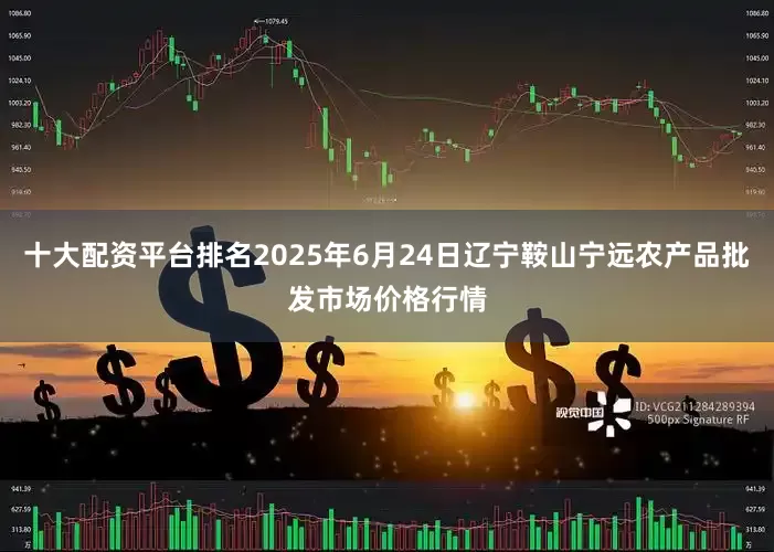 十大配资平台排名2025年6月24日辽宁鞍山宁远农产品批发市场价格行情