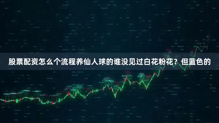 股票配资怎么个流程养仙人球的谁没见过白花粉花？但蓝色的