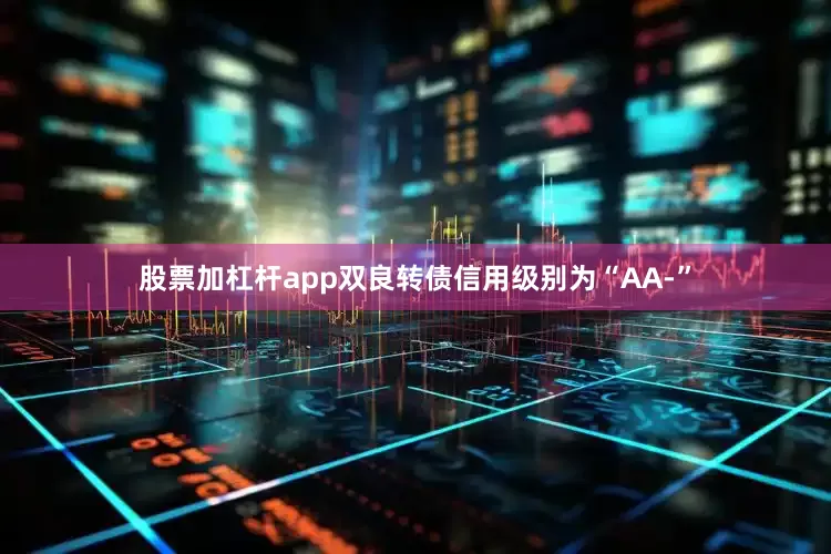 股票加杠杆app双良转债信用级别为“AA-”
