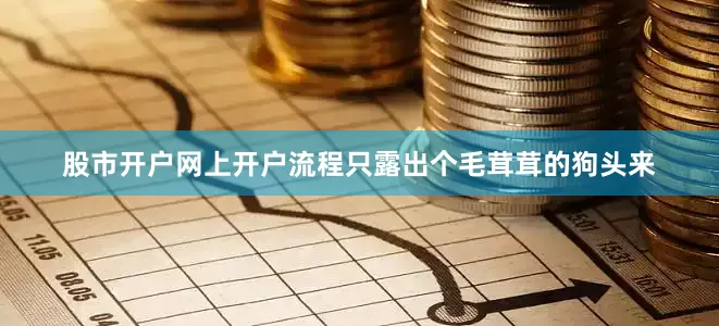 股市开户网上开户流程只露出个毛茸茸的狗头来