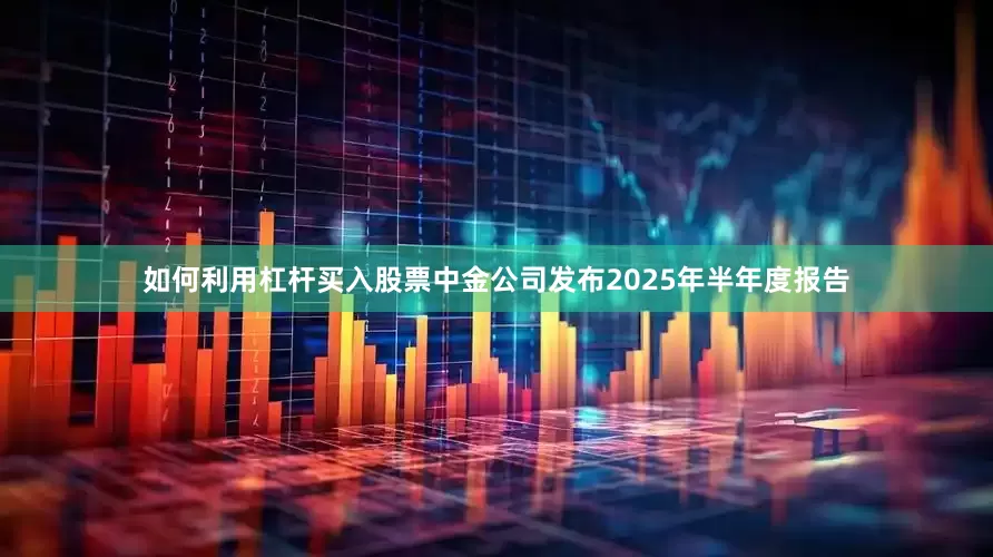 如何利用杠杆买入股票中金公司发布2025年半年度报告